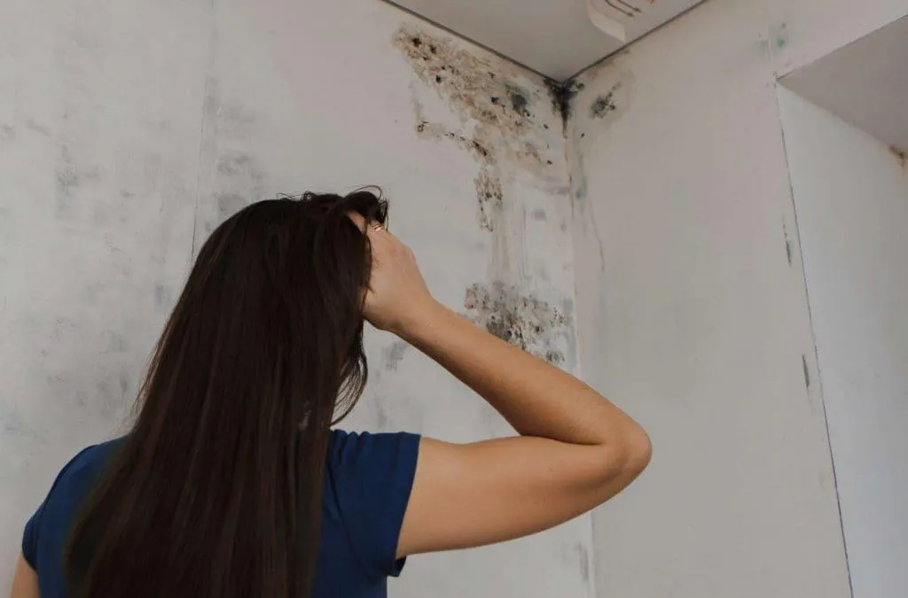 Une femme qui regarde un mur pleine de moisissures