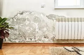 Un mur blanc abîmée par des traces d'humidité