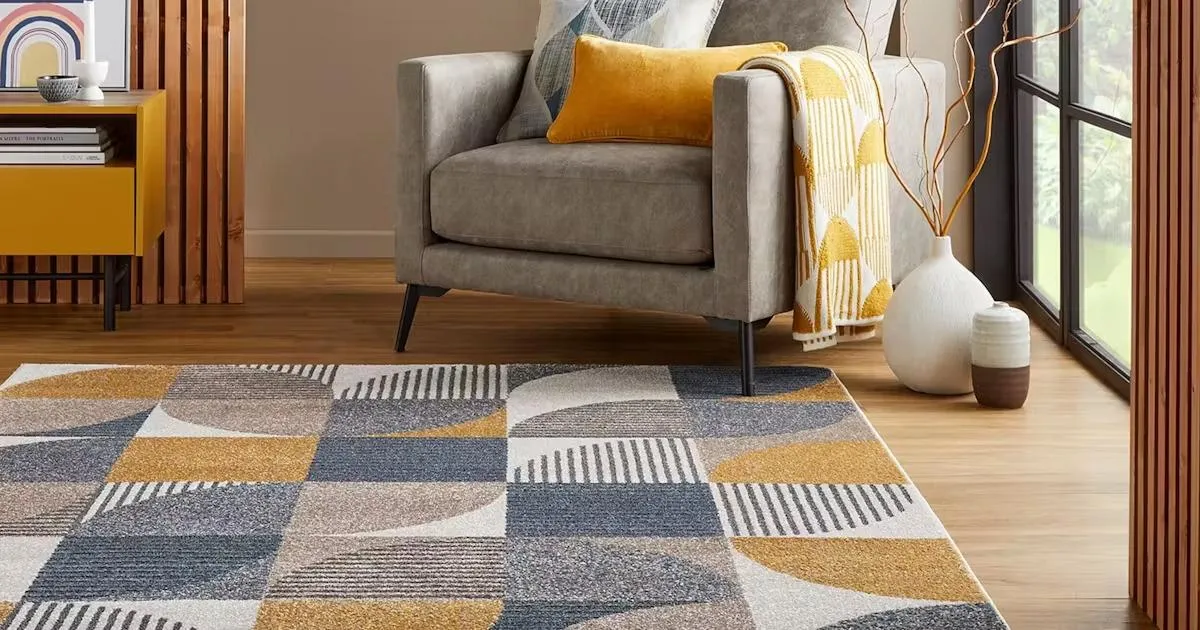 Un tapis coloré avec des motifs posés sur le sol d'un salon à côté d'une chaise et une plante dans une vase.