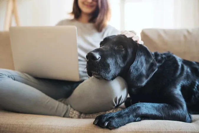 Une femme assise sur un canapé avec son ordinateur et son chien posant sa tête sur ses genoux. 
