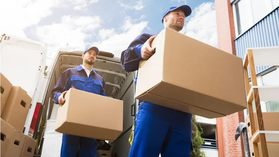 Deux déménageurs professionnels qui tiennent chacun un carton. 