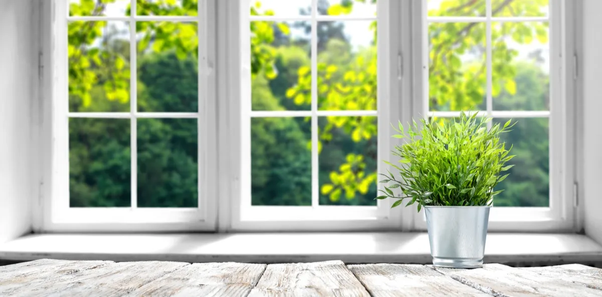 Un pot de fleurs devant les vitres d'une maison.