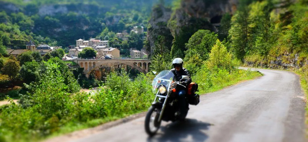 Un homme qui roule sur une route à bord de sa moto avec de la verdure tout autour.