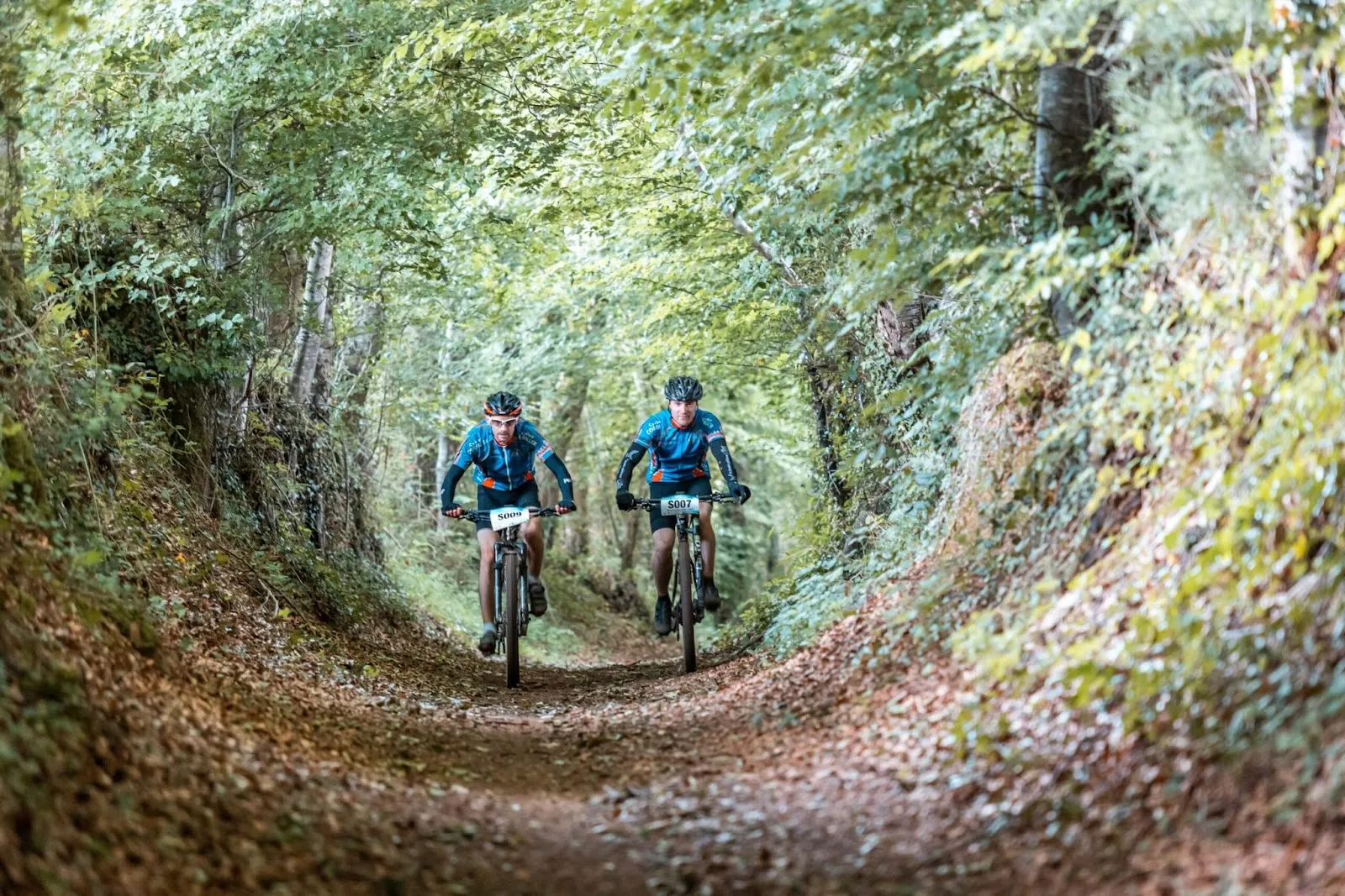 Deux cyclistes en pleine randonnée dans la forêt.
