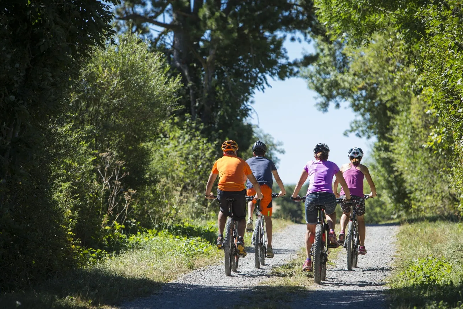 Un groupe de 4 jeunes en pleine balade dans la forêt à bord de leur vélo.