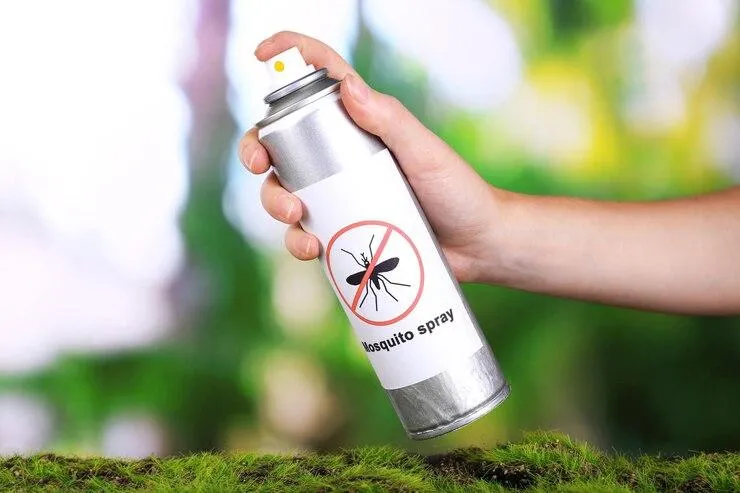 Une personne avec une bombe insecticide contre les moustiques