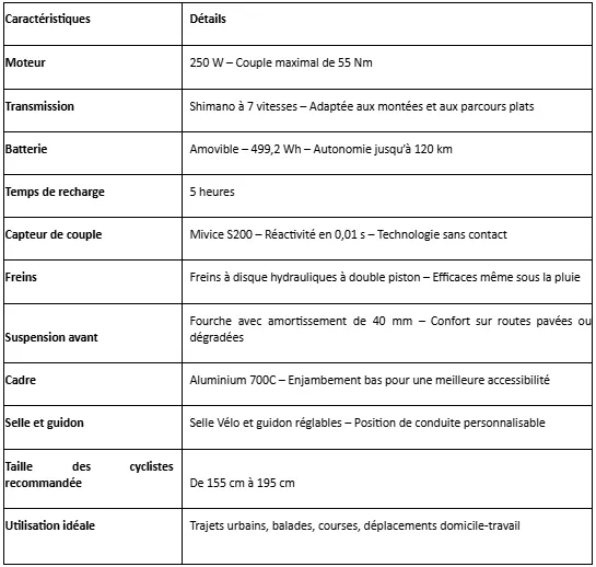 Tableau caractéristiques vélo