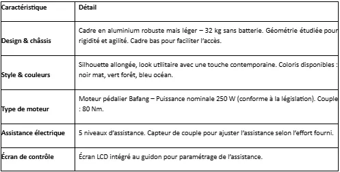 Tableau caractéristique vélo