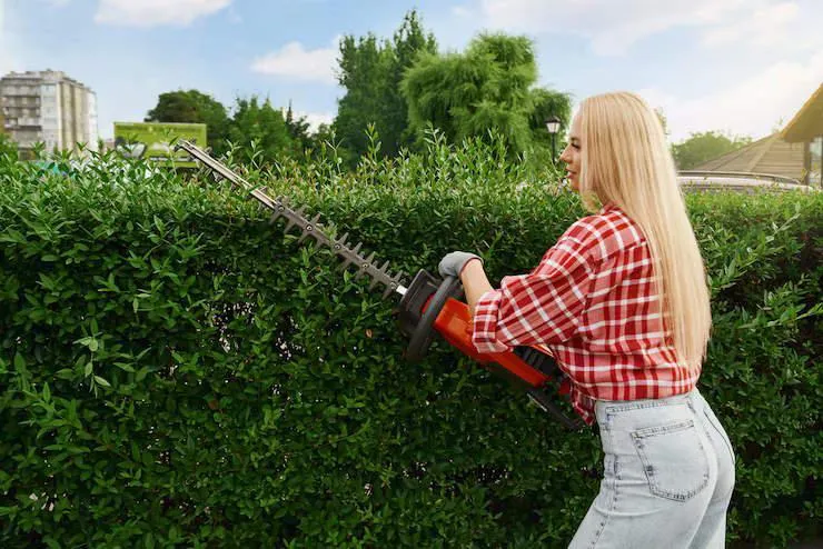 Une femme qui coupe sa haie avec une taille-haie électrique