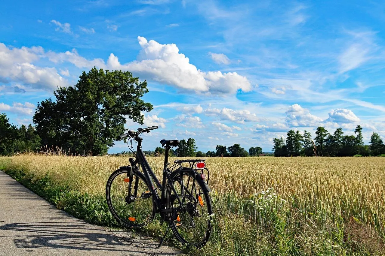 Un vélo garé près d'un champ