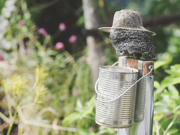 Une piège en métal dans un jardin