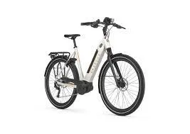 Un vélo Gazelle Ultimate T10 sur un fond blanc