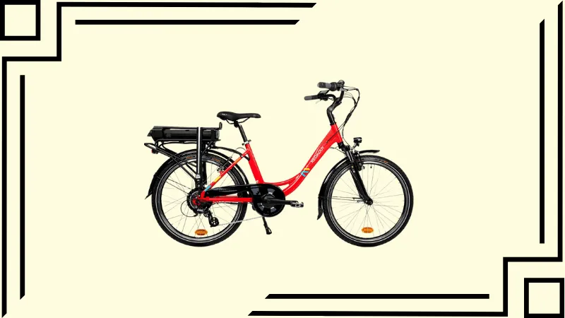 Le facelia de Neomouv