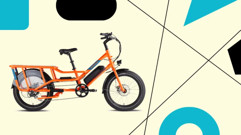 Rad Power RadWagon 4