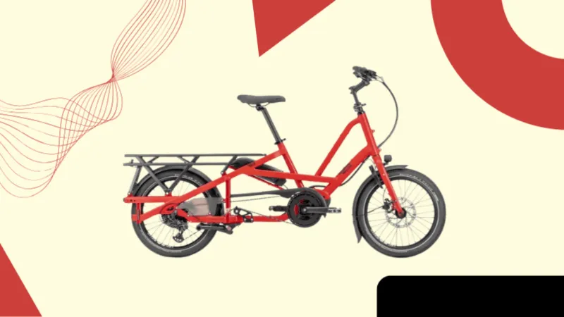 Tern Quick Haul Long D9