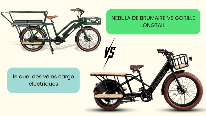 Nebula de Brumaire vs Gorille Longtail