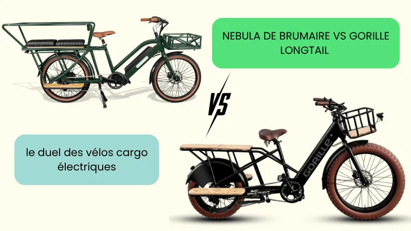 Nebula de Brumaire vs Gorille Longtail