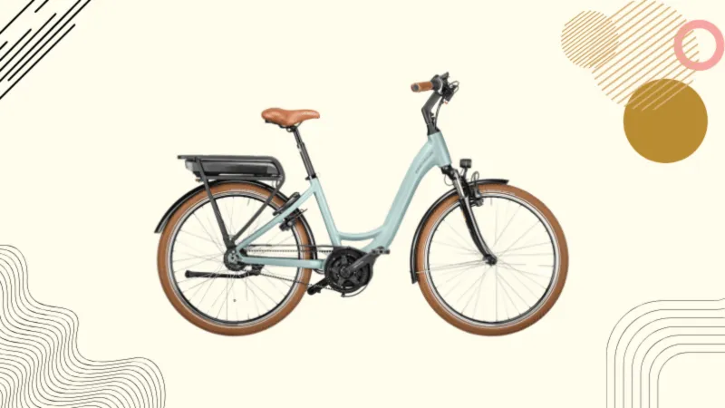 Riese & Muller Swing 5