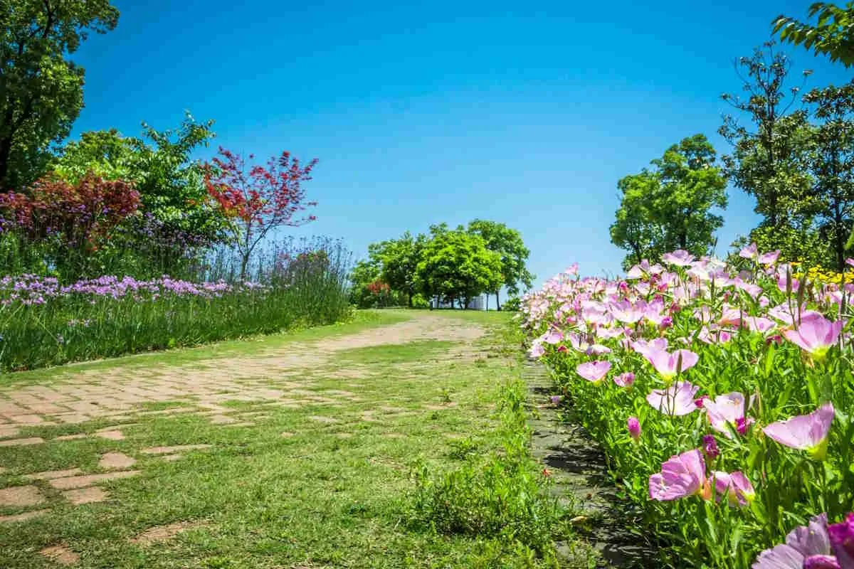 Un jardin fleuri