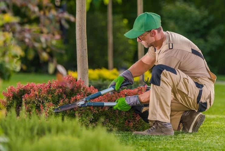 Un artisan paysagiste qui entretien un jardin