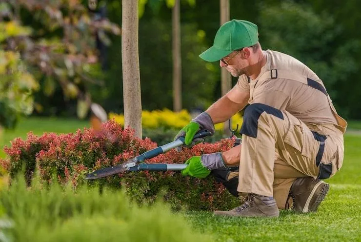 Un artisan paysagiste qui entretien un jardin