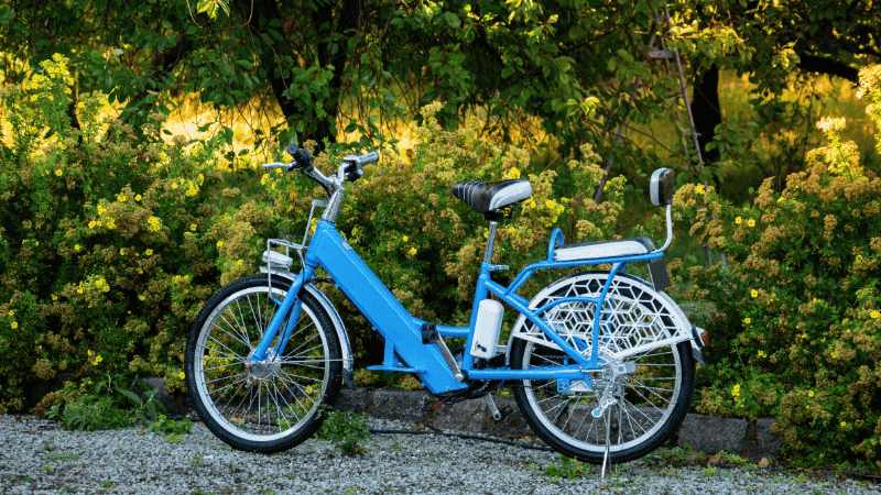 Vélo électrique longtail bleu persan dans un parc