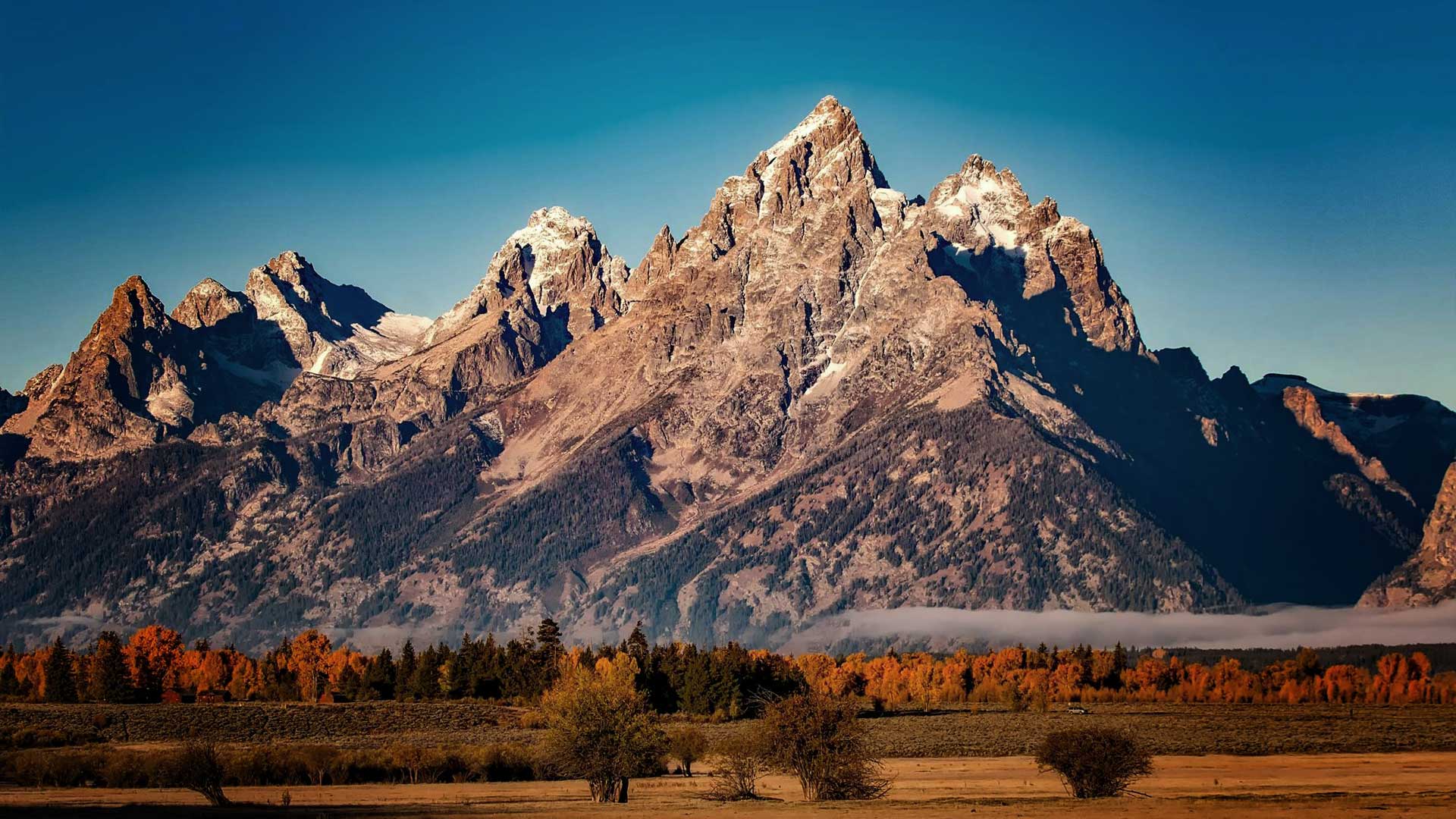 Snow-capped rugged mountain range under clear blue sky with autumn-colored trees and open field in foreground.