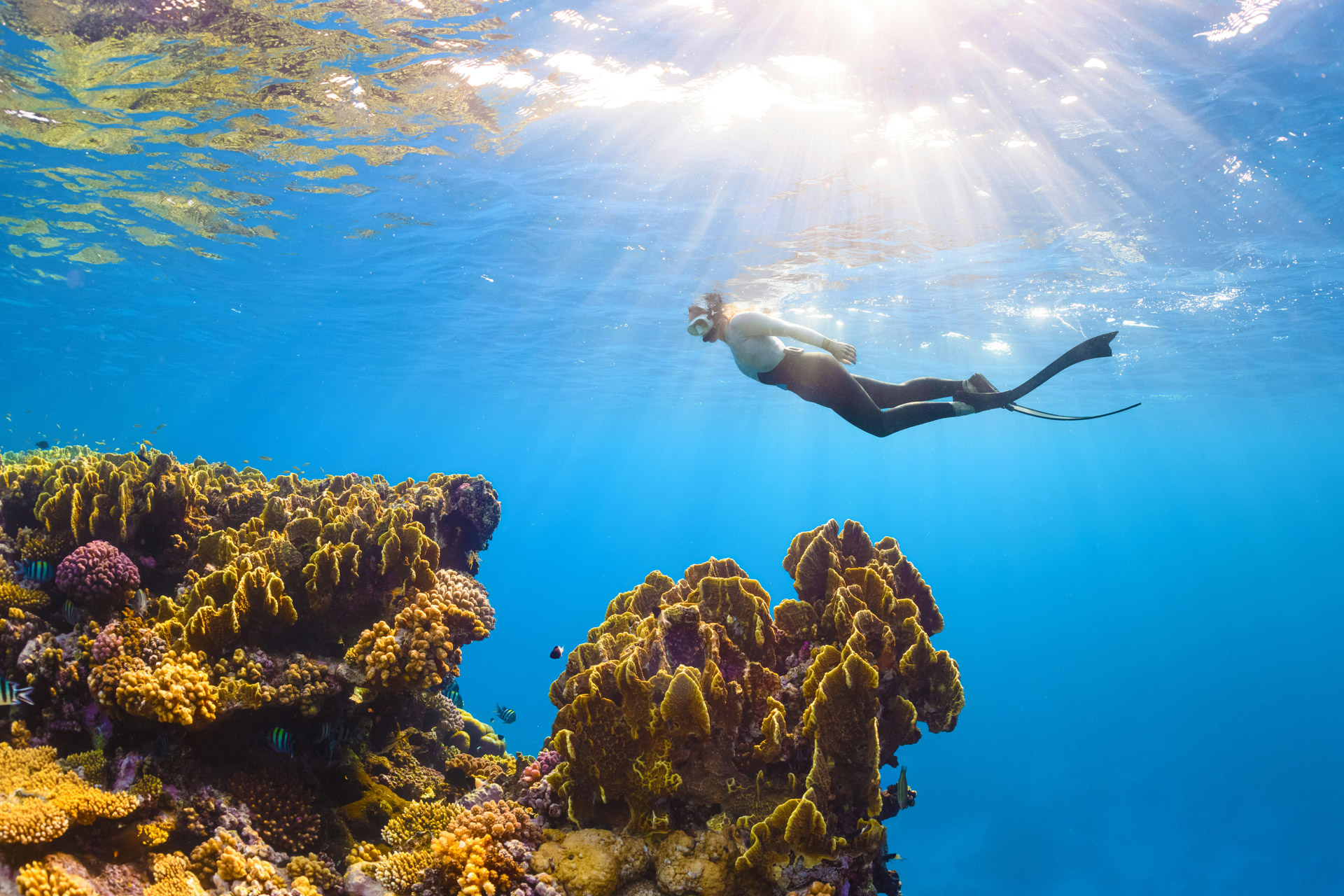 Woman wearing a hat and beige dress looking out at a calm river with green fields and palm trees under a partly cloudy sky.