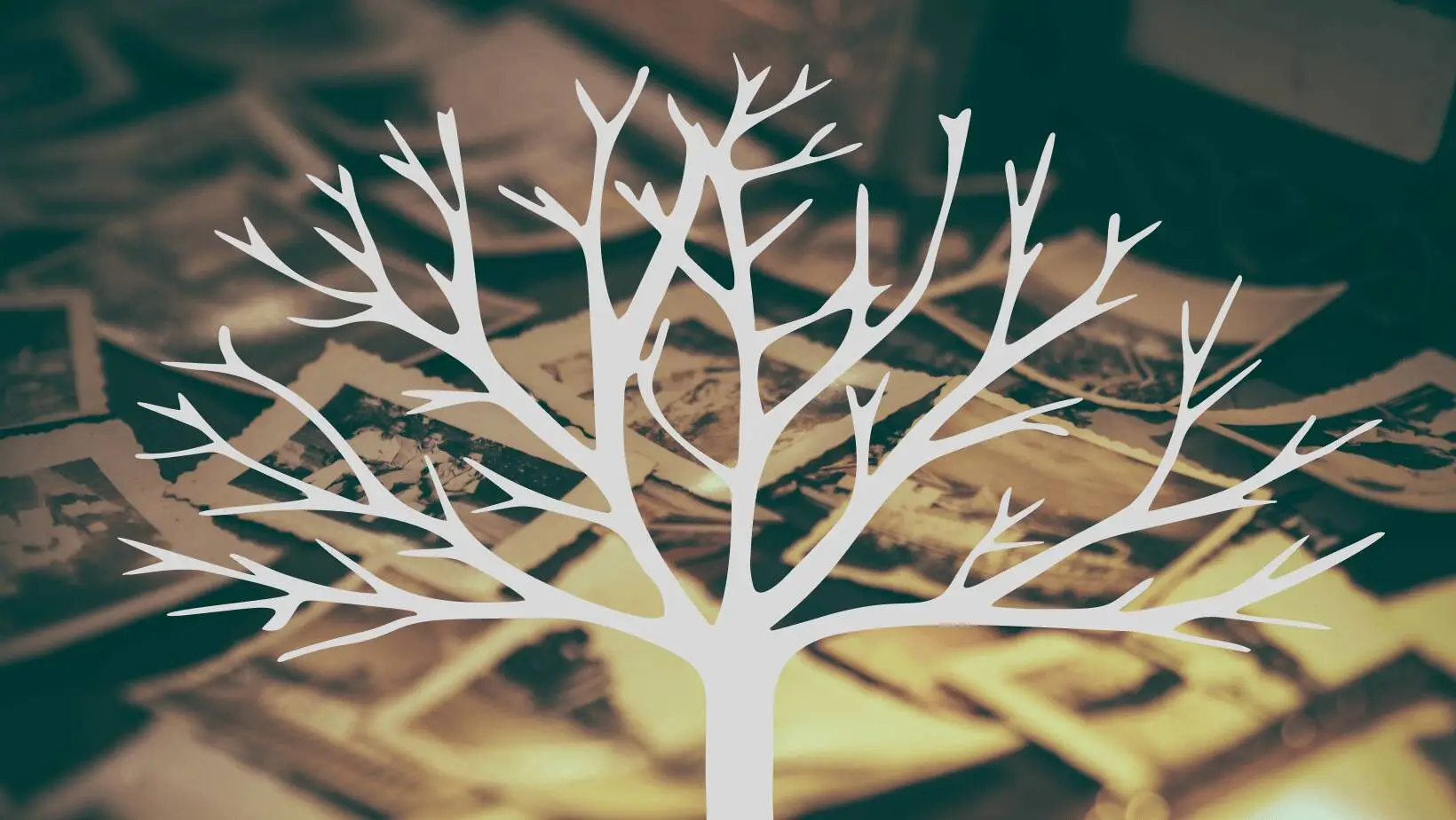 The Law of Blood in Poland