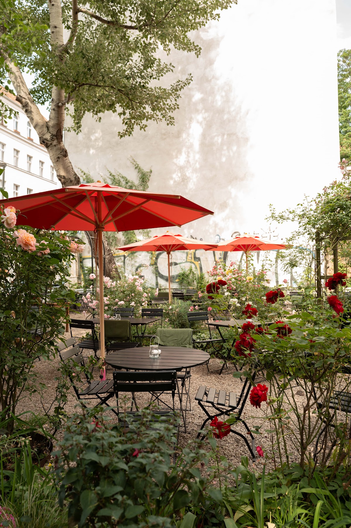 Restaurant Clärchens Ballhaus – International in Berlin-Mitte