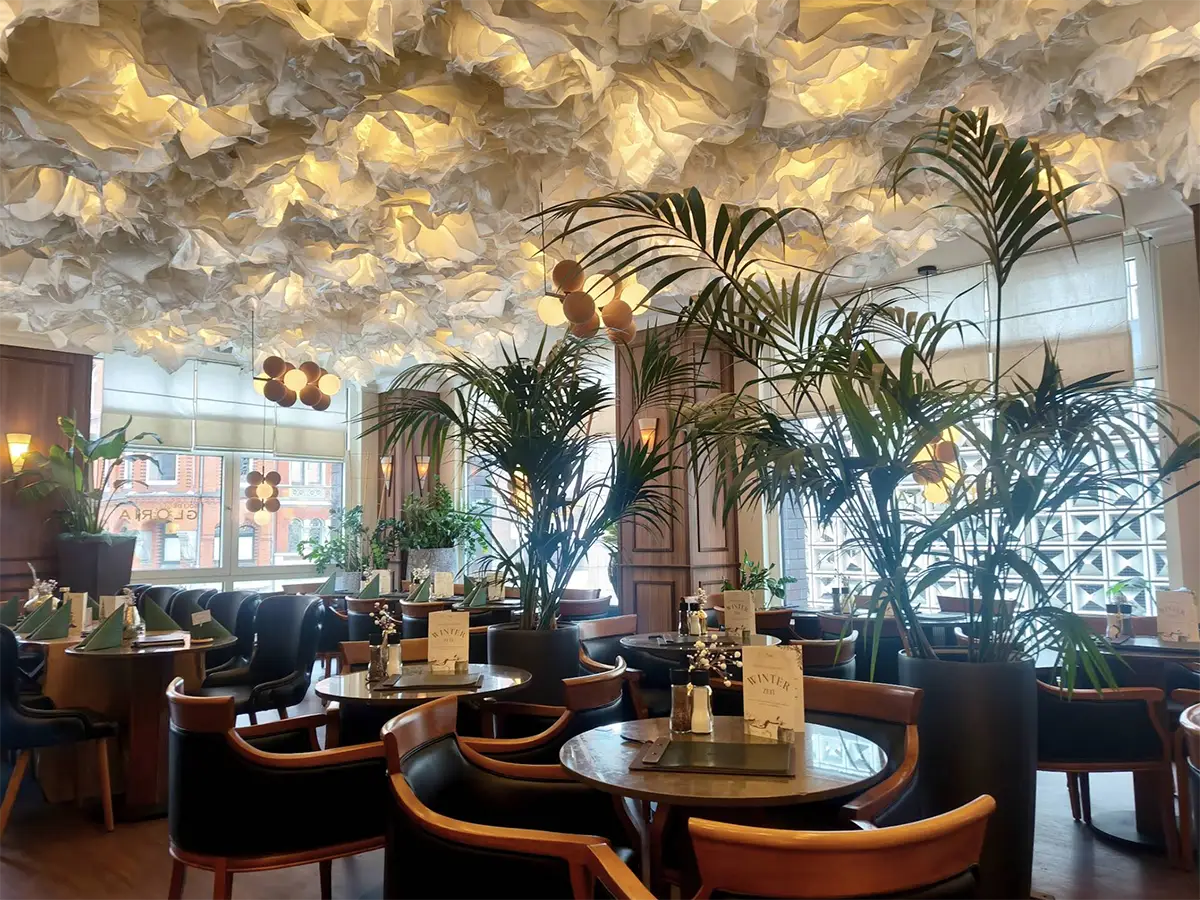 Restaurant Soli de Gloria – Italian in Hannover