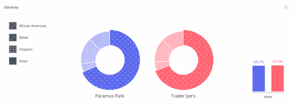 Screenshot from placer.ai platform of demographics of 2 locations