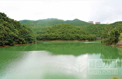 Tai Tam Byewash Reservoir