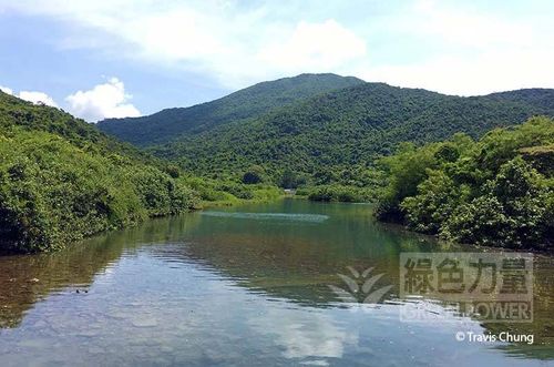 Tai Tam Harbour Inner Bay