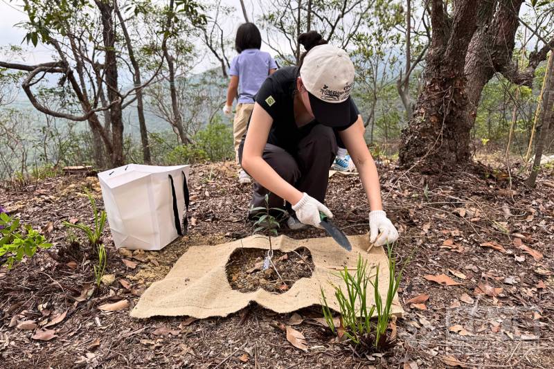 Corporate volunteers participate in a tree-planting event