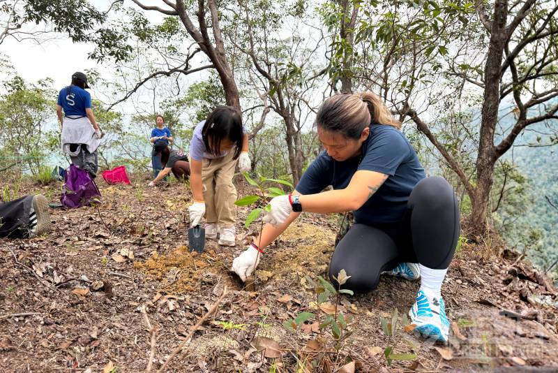 Parent-child family volunteers participate in a tree-planting event