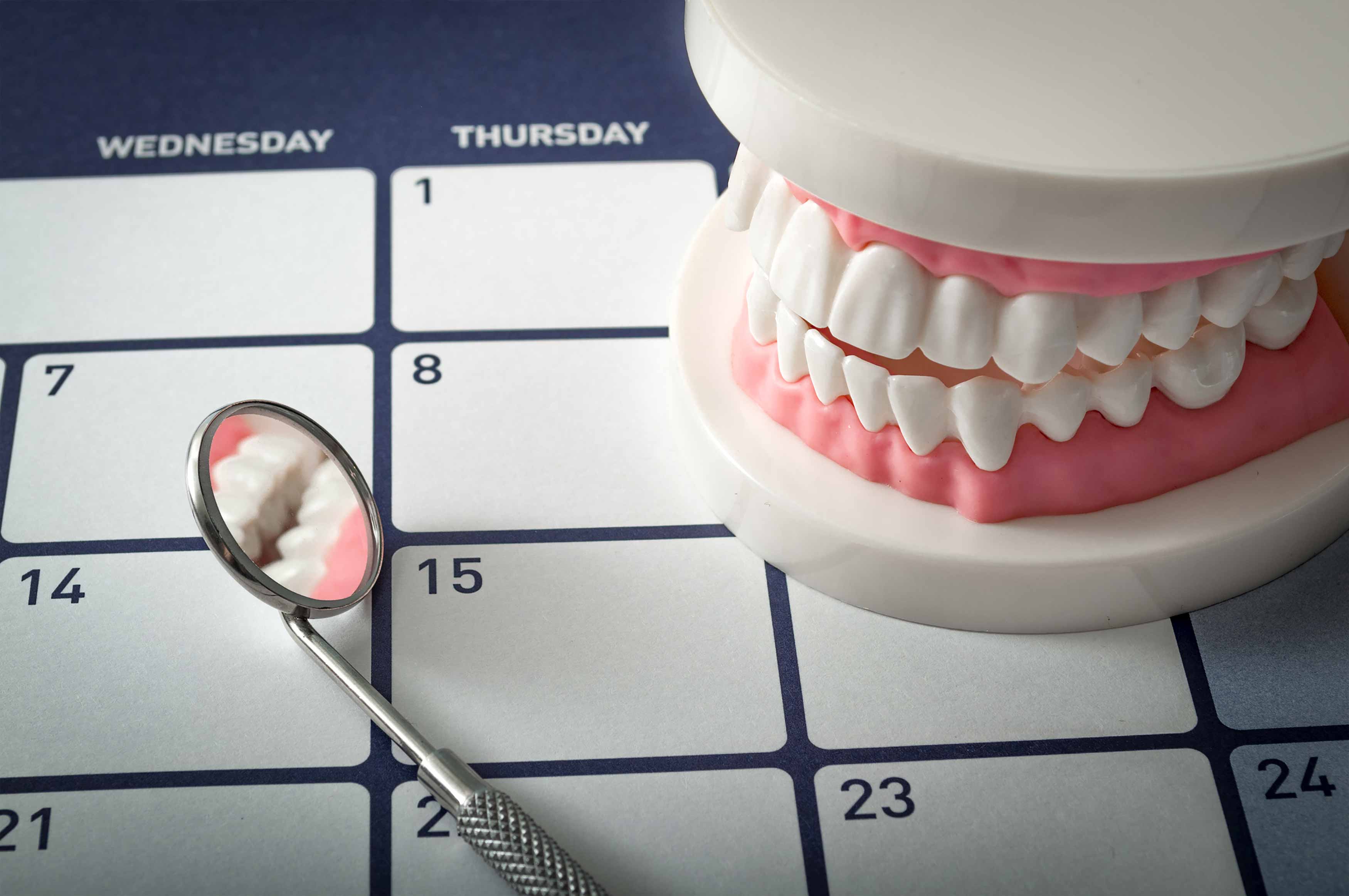 Photo of a dental mirror and teeth model