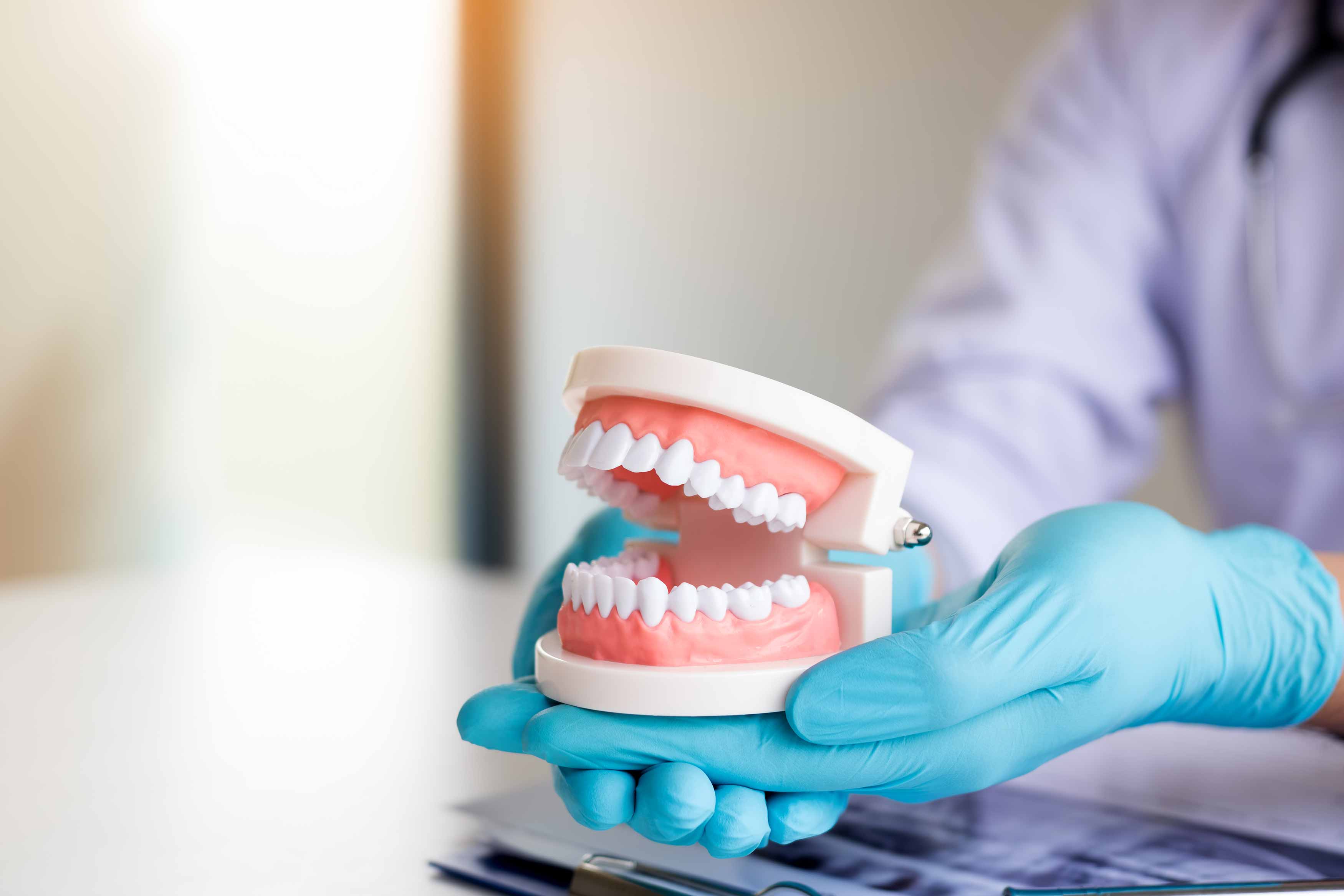 Photo of a fake teeth model on a person's hand