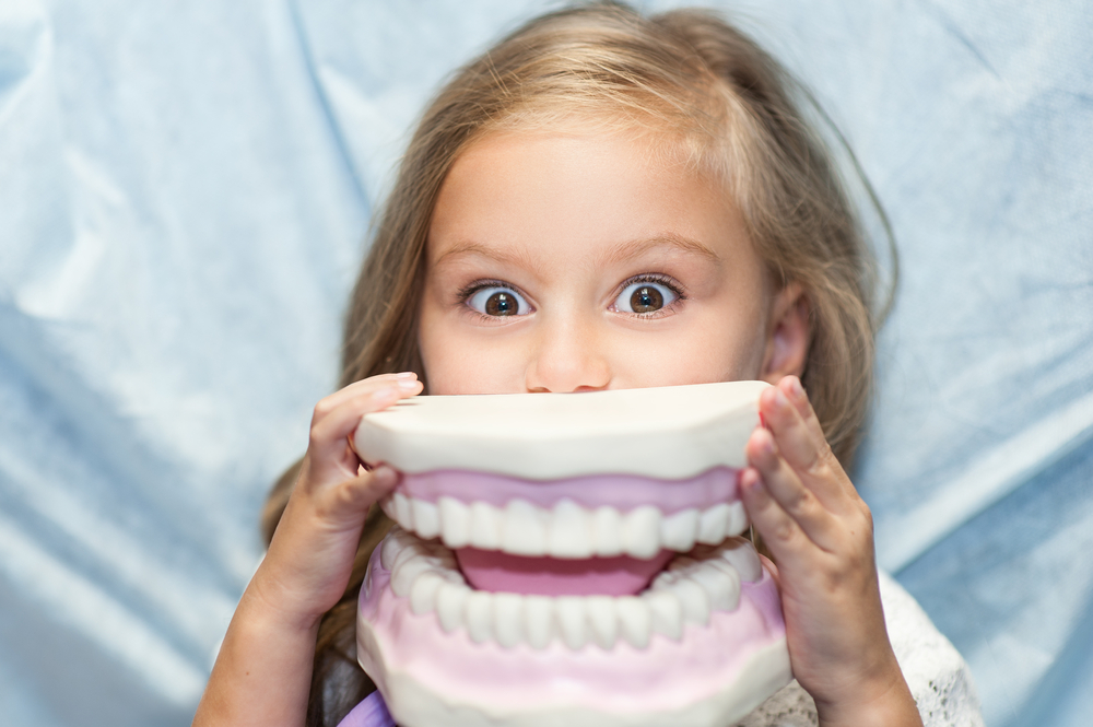 Photo of a shy young girl hiding her mouth behind a very large teeth model showing her shy eyes. 
