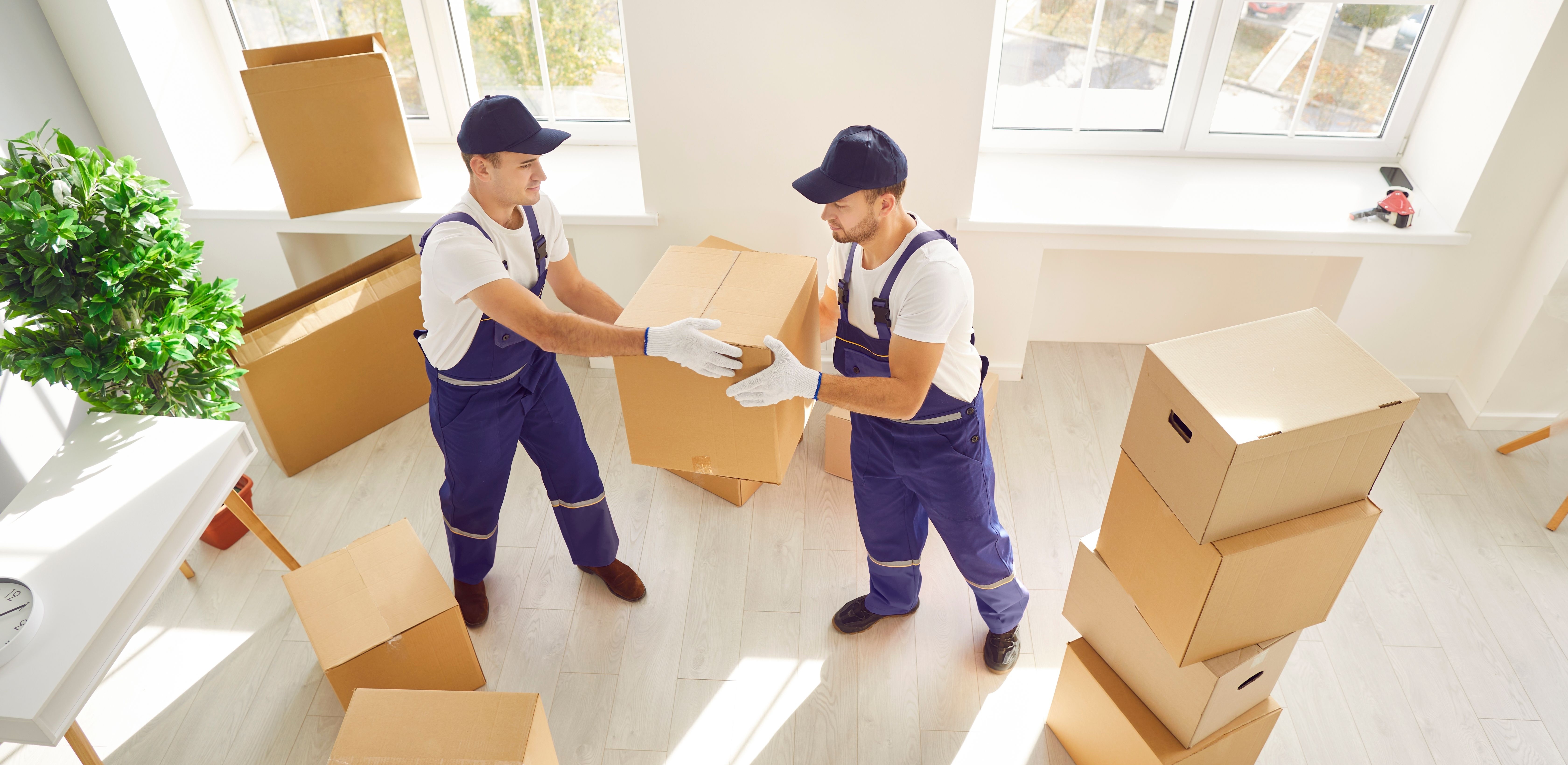 During relocation, two movers are seen carrying boxes into either a home or office space. Coordinated efforts reflect the professionalism of a relocation service.