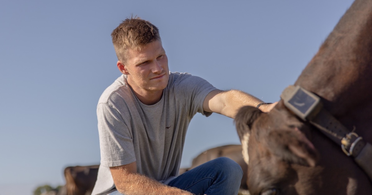 Craig Piggott from Halter