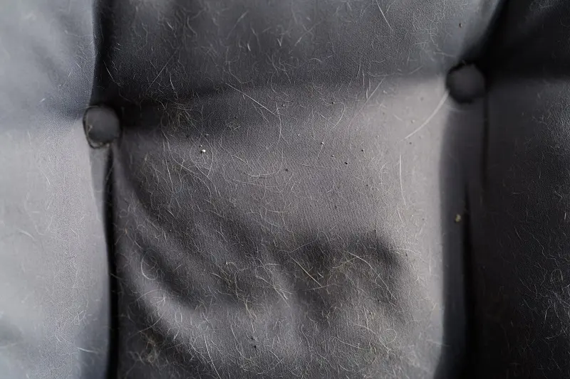 Fabric Replacement