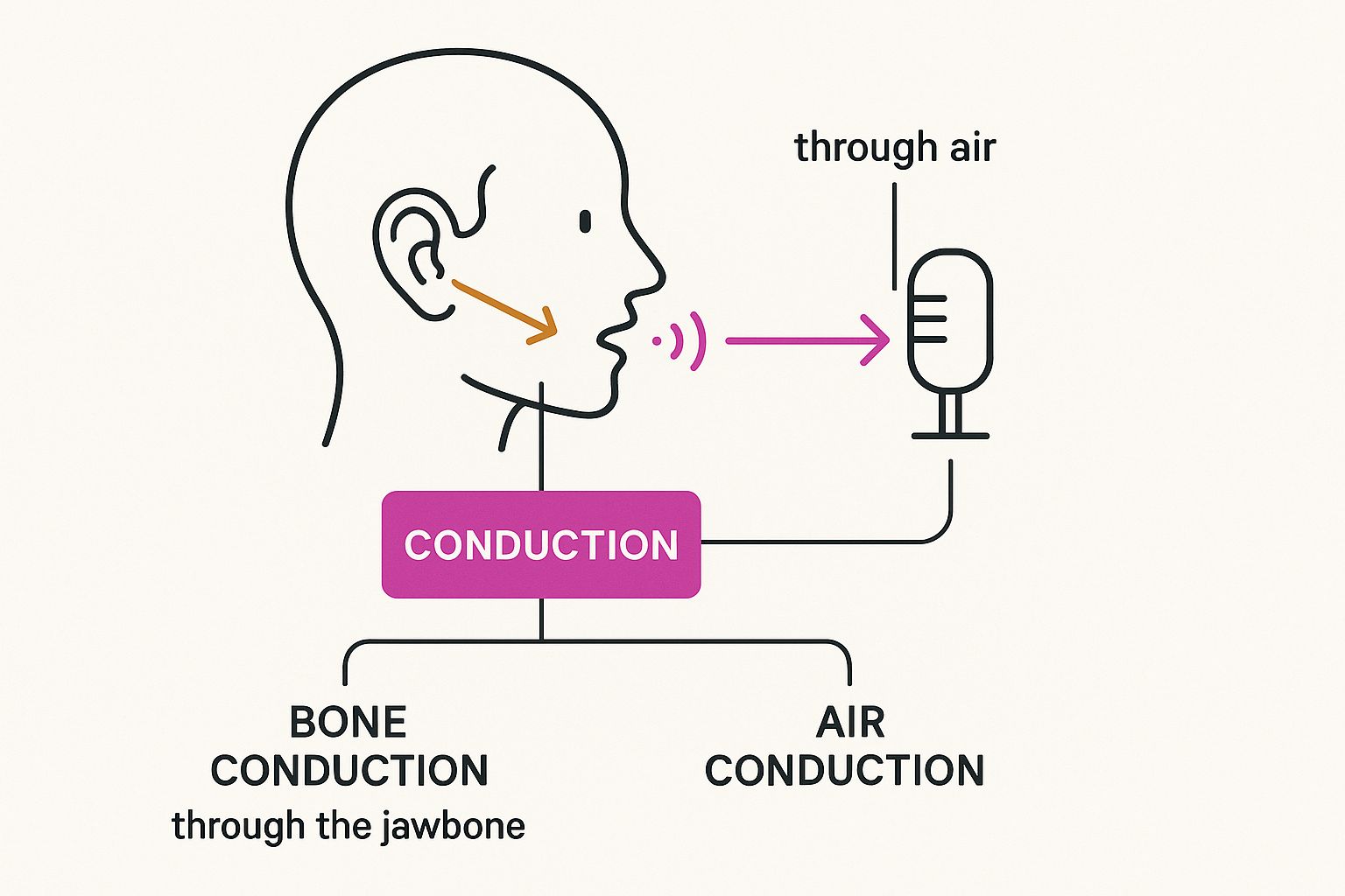 Infographic showing how bone conduction and air conduction affect how you hear your voice when recording into a microphone.