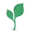 values icon