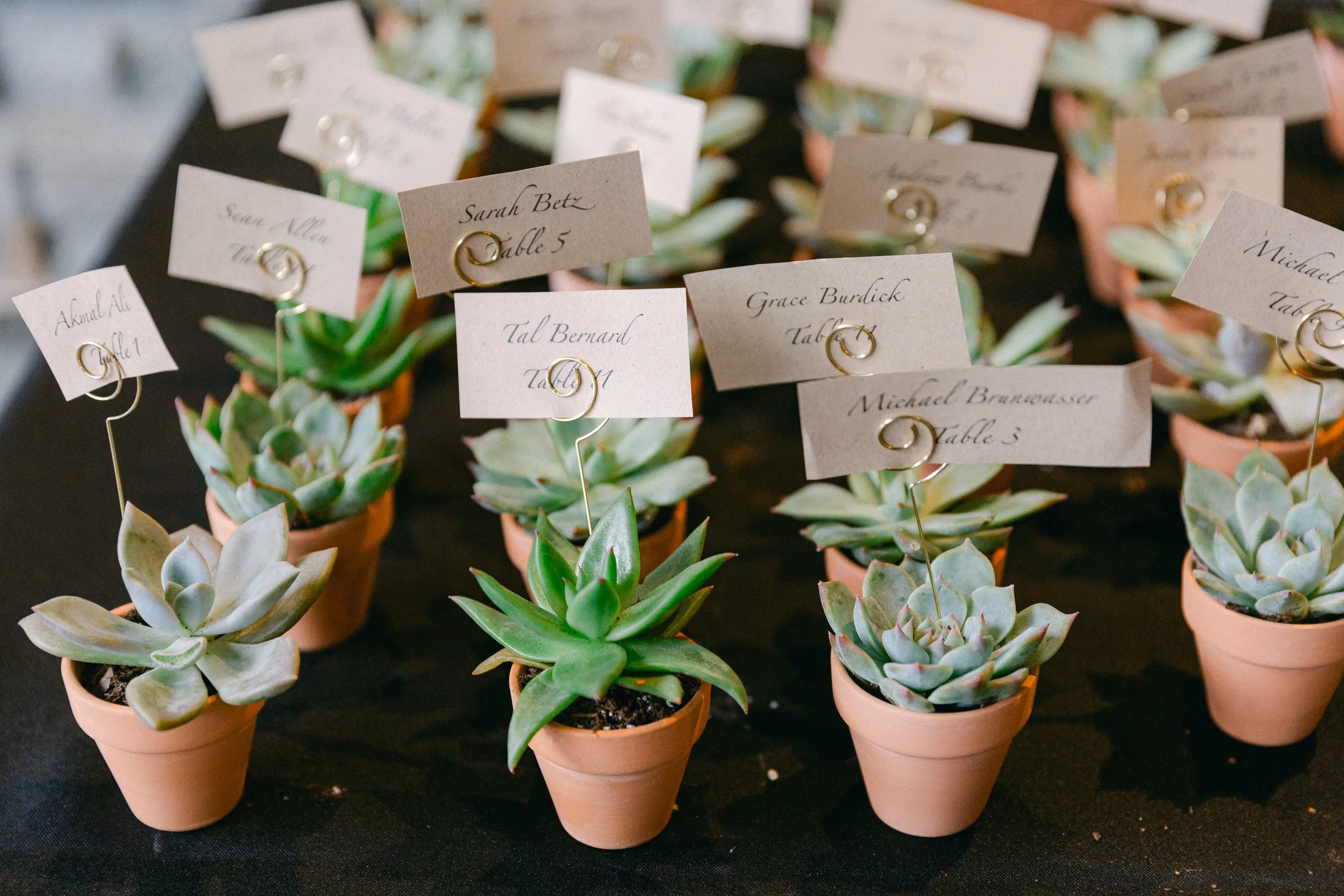 Greenpoint Loft Wedding Ceremony, escort table with mini potted succulents
