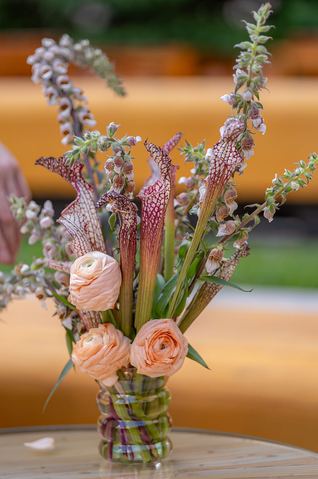 Tall arrangement of peach ranunculus and speckled pitcher plant blooms in a glass vase