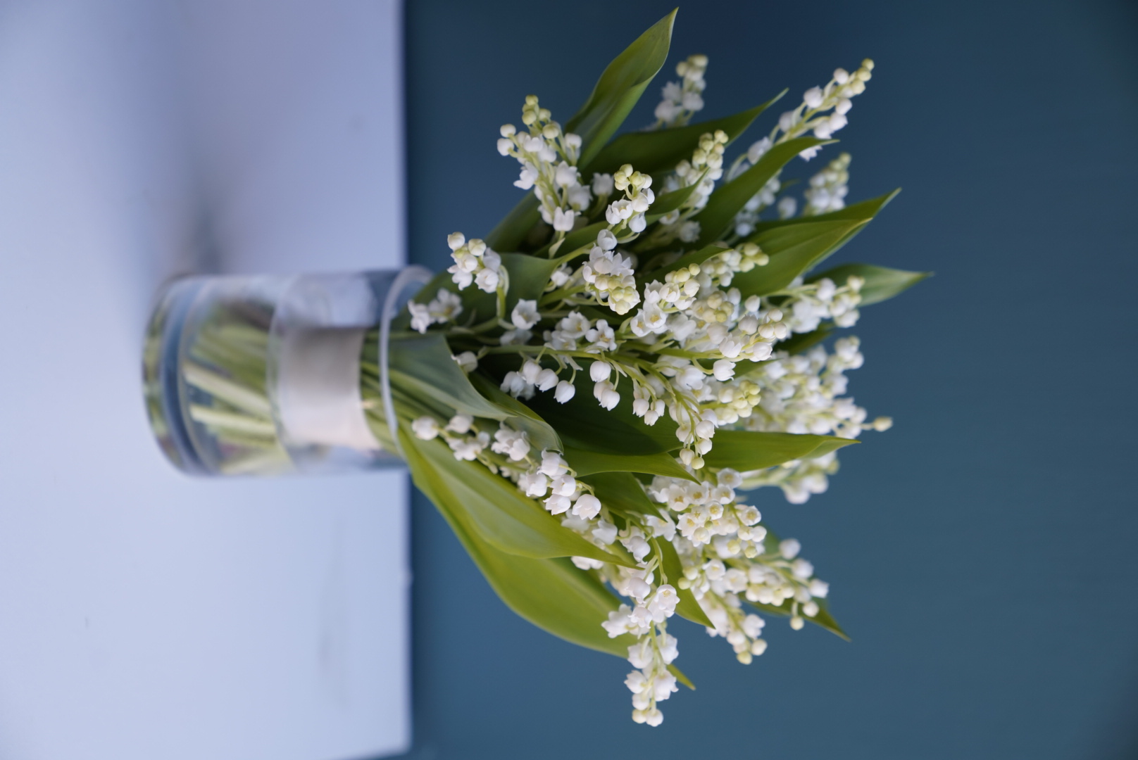 White lily of the valley bouquet in a clear glass vase