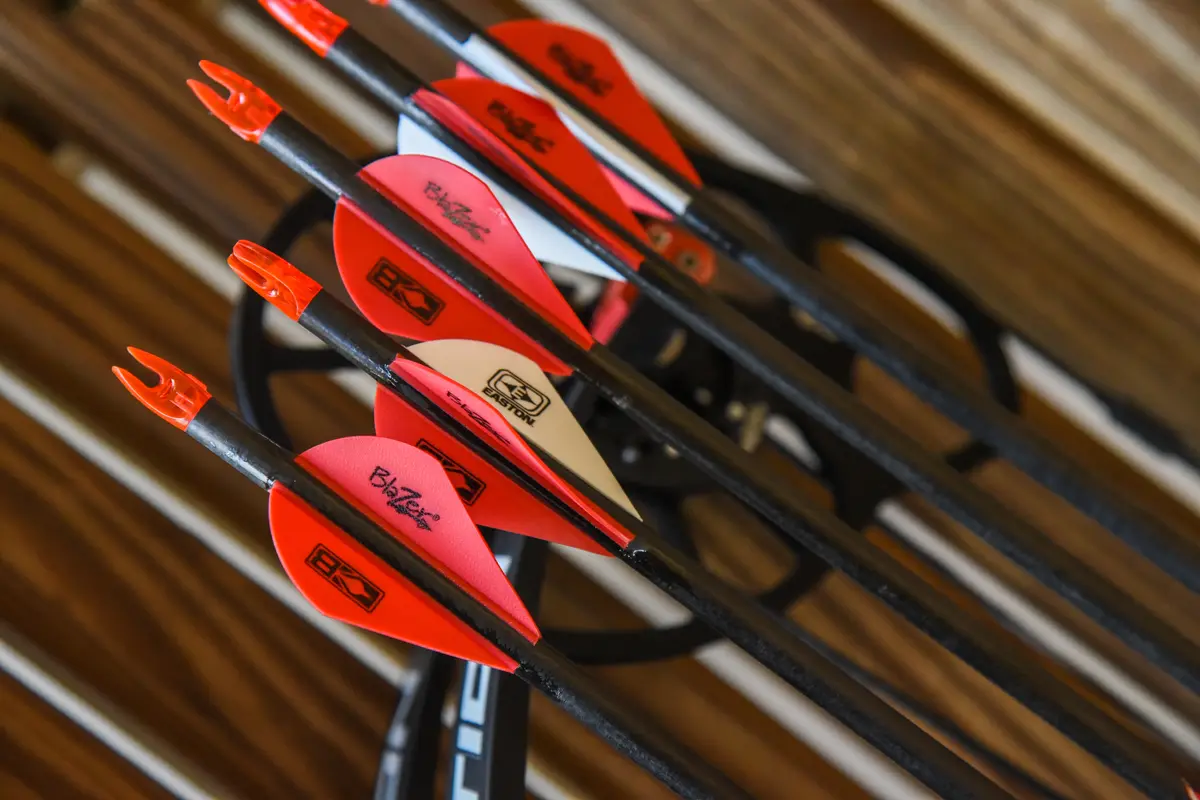Fletchings of arrows