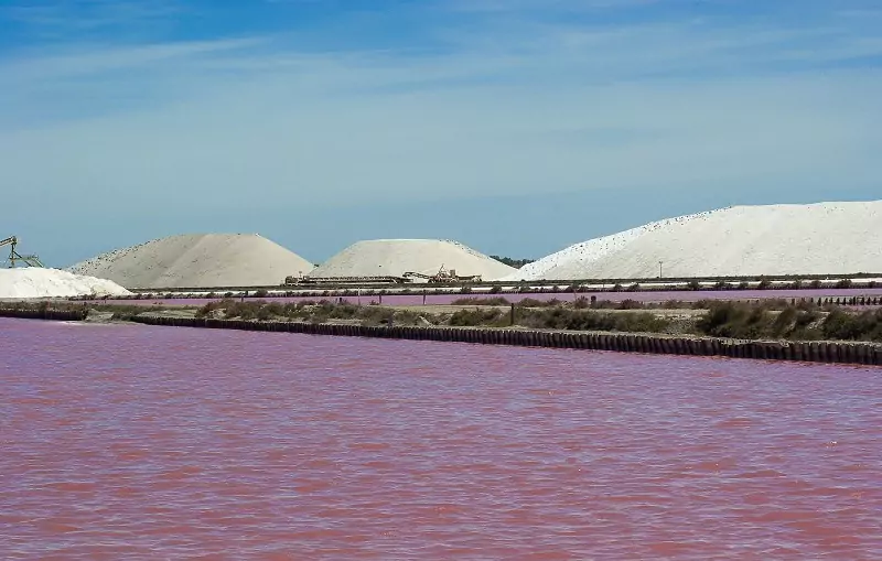 Pink salt lake near Aigues-Mortes in Camargue.