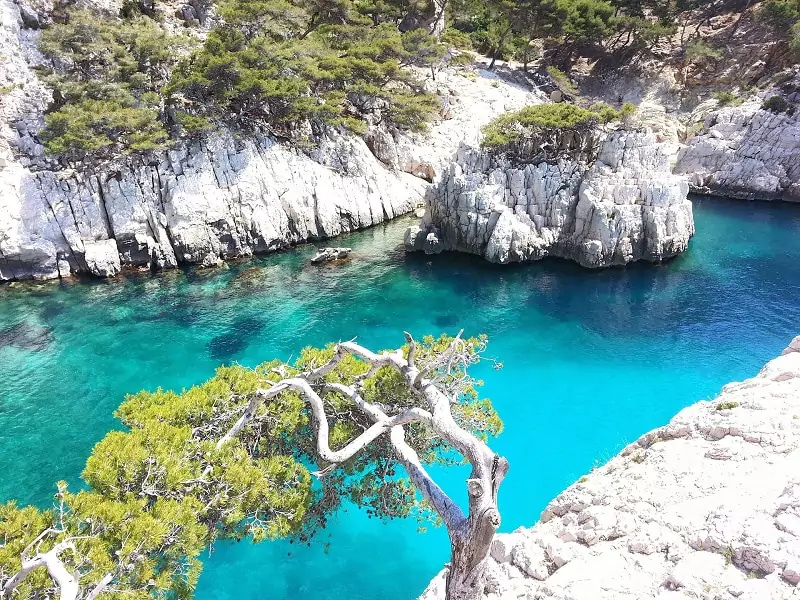 Turquoise water in one of the Calanques of Marseille.